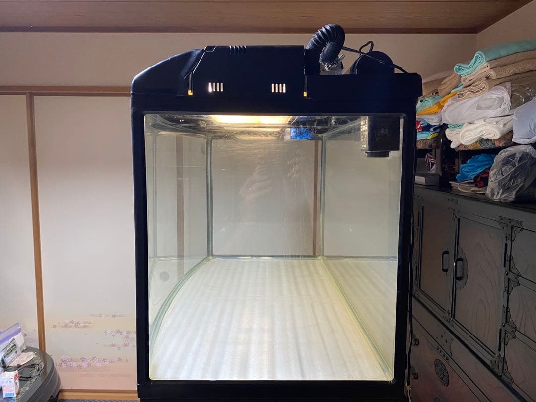 大きな水槽 蛍光灯照明付き