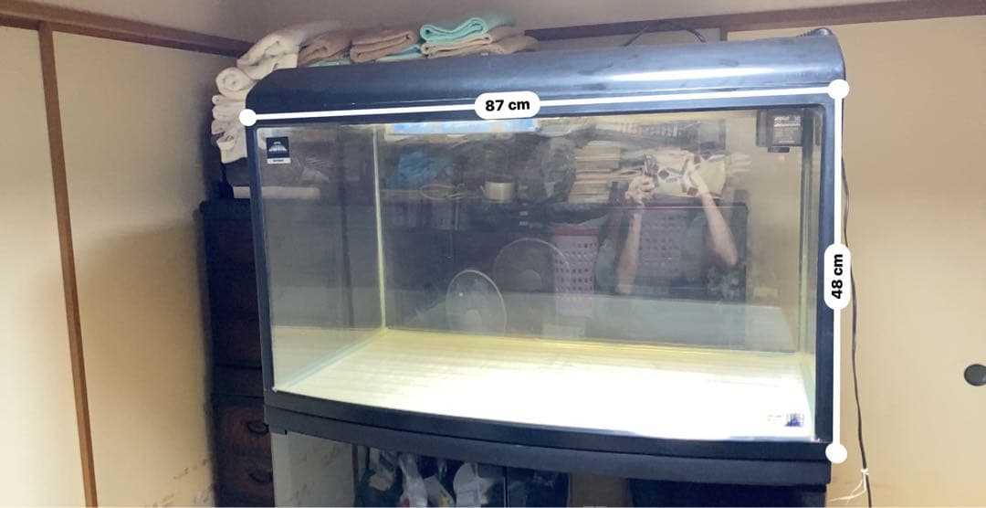 大きな水槽 蛍光灯照明付き