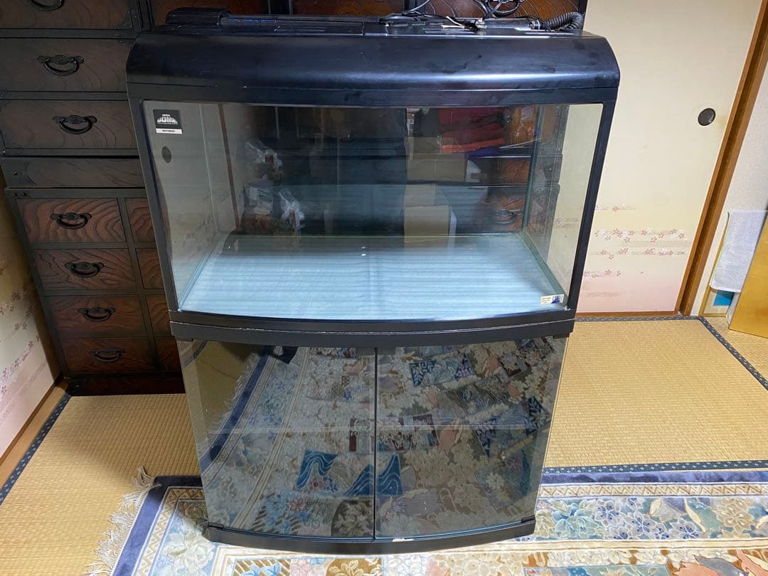 大きな水槽 蛍光灯照明付き