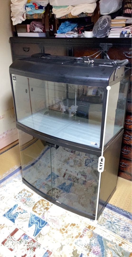 大きな水槽 蛍光灯照明付き