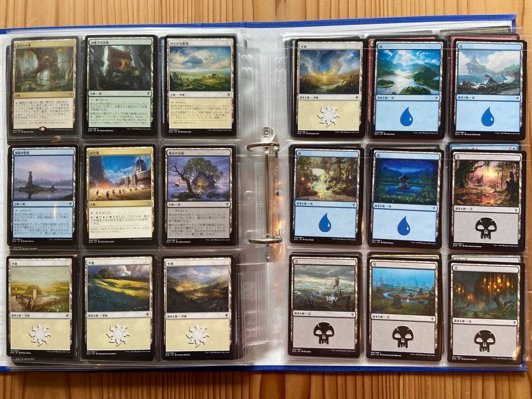 【マジック：ザ・ギャザリング】エルドレインの王権（日本語）約1BOX分詰め合わせ