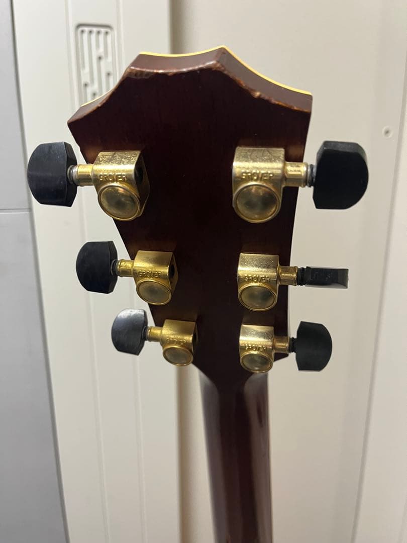 Taylor XXV-PR プレミアム25周年記念 エレアコ 世界限定500本