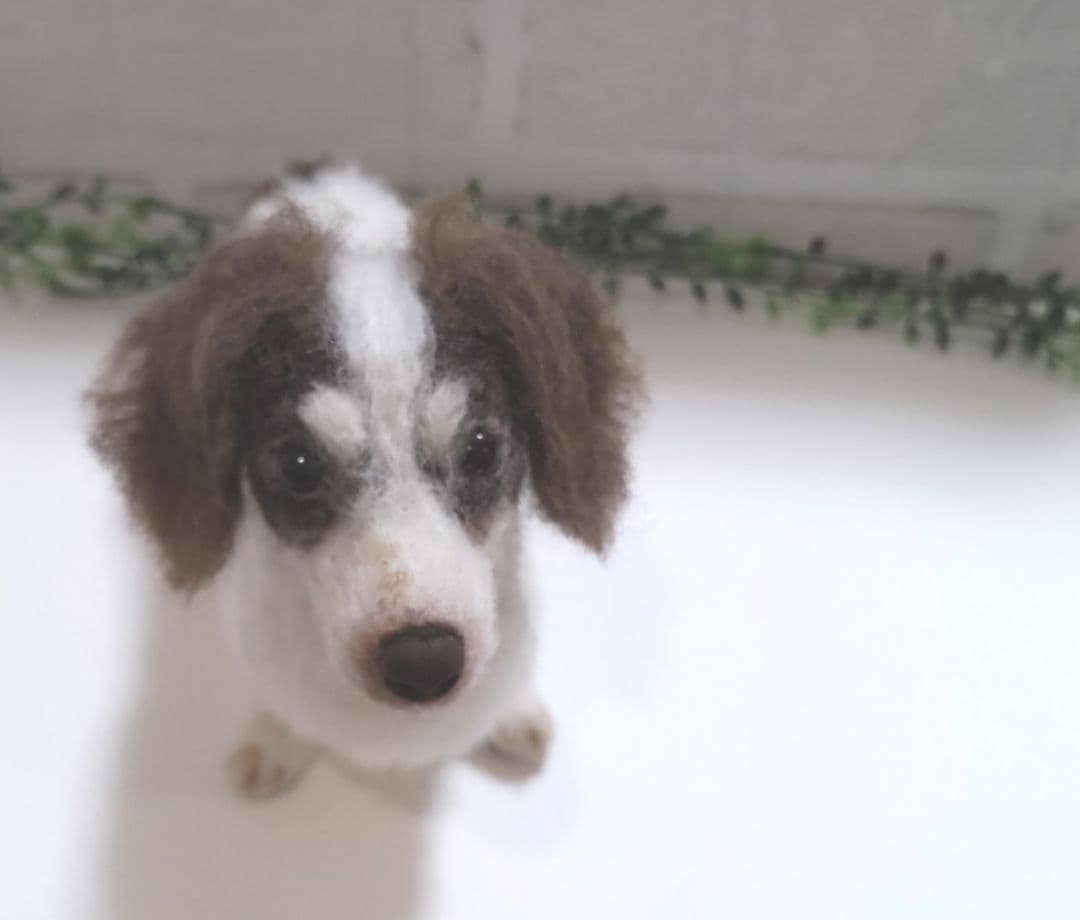 SASHA♡うちの子オーダー♡羊毛フェルト♪ハンドメイド☆