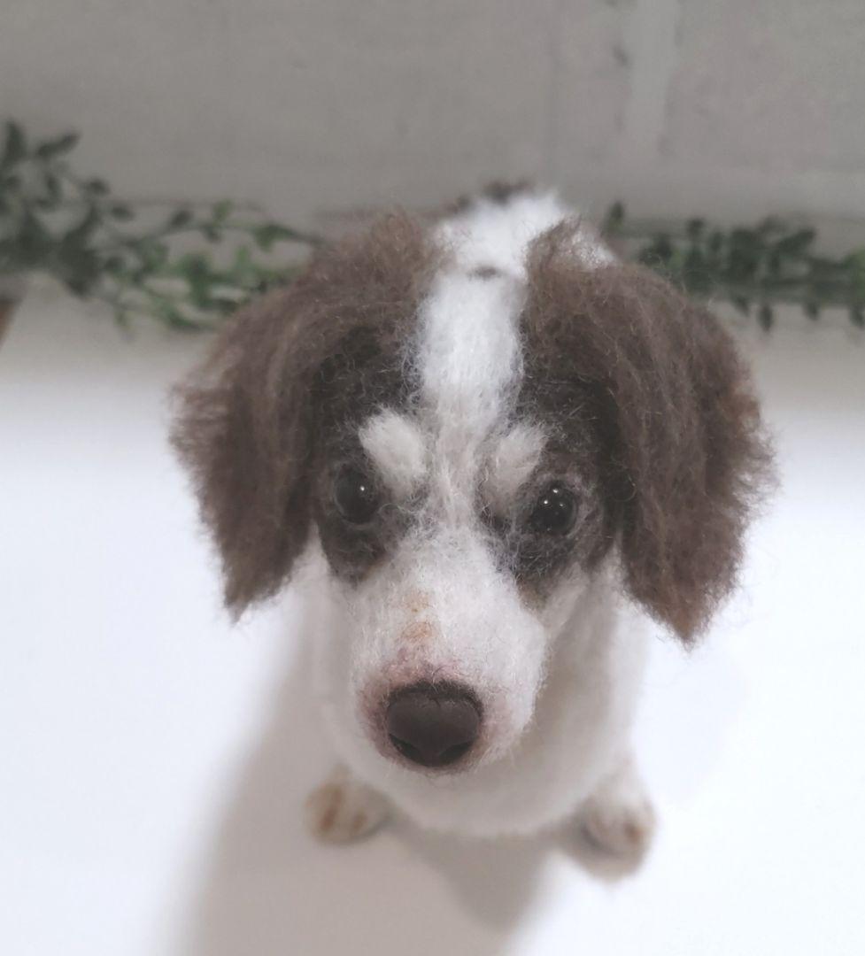 SASHA♡うちの子オーダー♡羊毛フェルト♪ハンドメイド☆