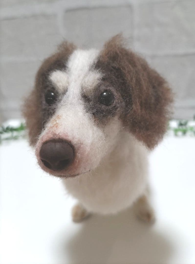 SASHA♡うちの子オーダー♡羊毛フェルト♪ハンドメイド☆