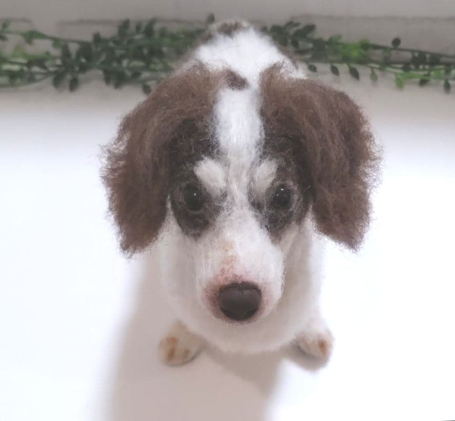 SASHA♡うちの子オーダー♡羊毛フェルト♪ハンドメイド☆