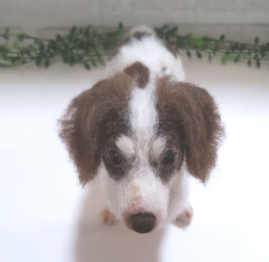 SASHA♡うちの子オーダー♡羊毛フェルト♪ハンドメイド☆