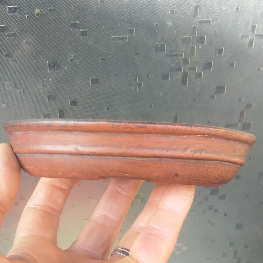 中国鉢、中渡、ミニ鉢、盆栽鉢、盆栽小鉢、植木鉢、山野草鉢、鉢、盆栽