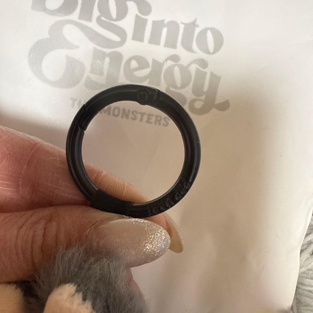 【確実正規品】 LABUBU ラブブ エナジー シークレット SECRET 16