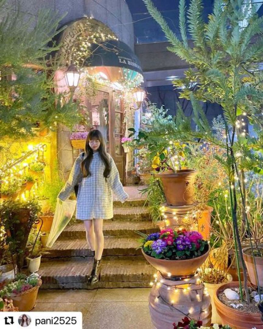 チェスティ⭐️ツイードビッグカラーコート⭐️1