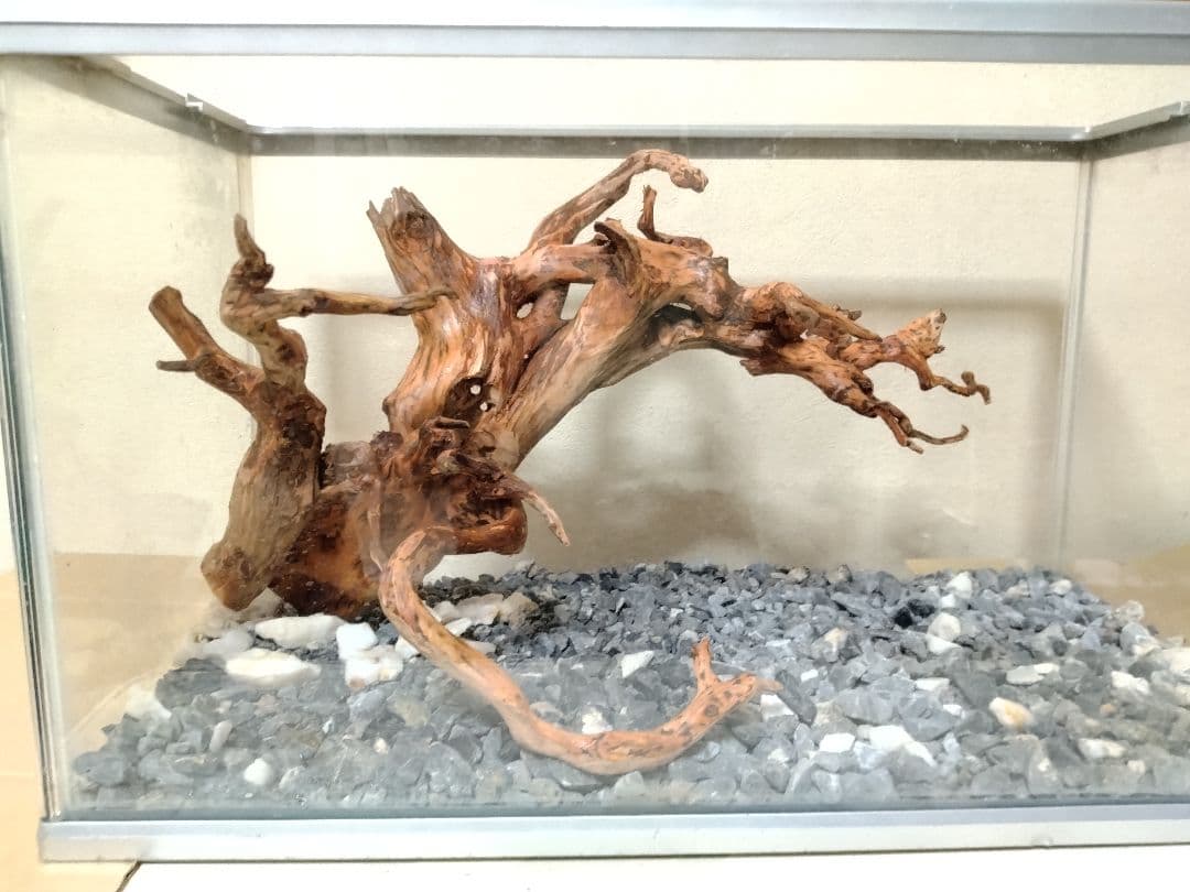 流木・ＮO・2　春まで休みます