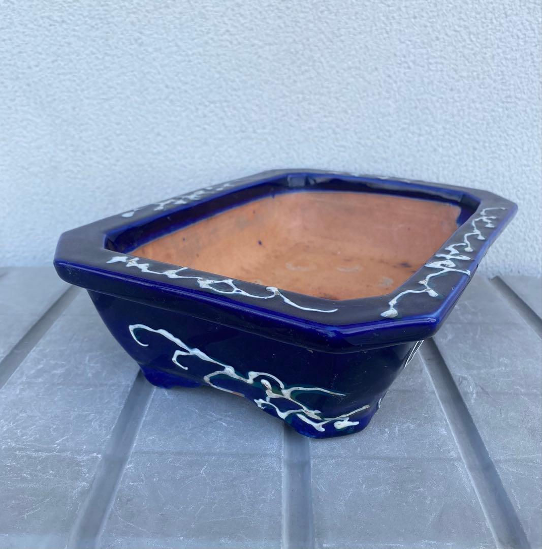 希少 瀬戸焼 瑠璃釉 骨董 盆栽鉢 盆栽 植木鉢