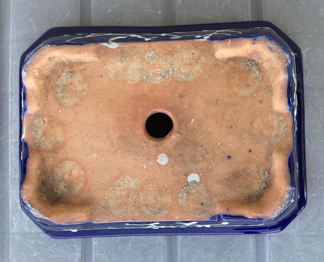 希少 瀬戸焼 瑠璃釉 骨董 盆栽鉢 盆栽 植木鉢