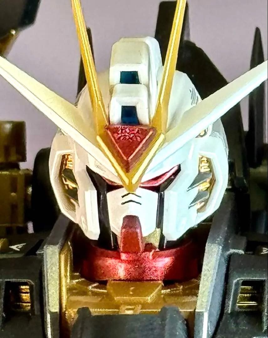 中華製 1/100 MGEXストライクフリーダムモデル 全塗装完成品