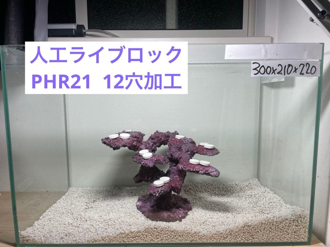 【送料無料】人工ライブロック　PHR21／12穴加工　アク抜き済み安心塗料使用