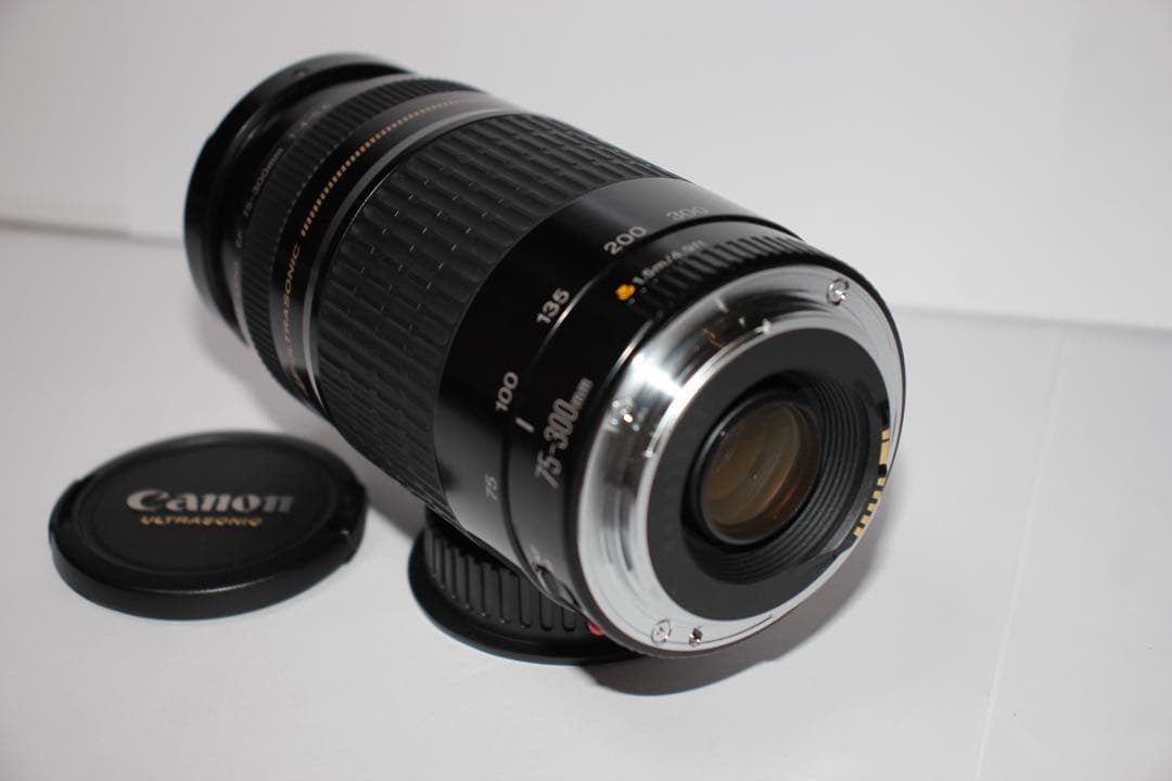 ☆フード付き☆望遠レンズ☆CANON EF 75-300㎜ F4-5.6☆