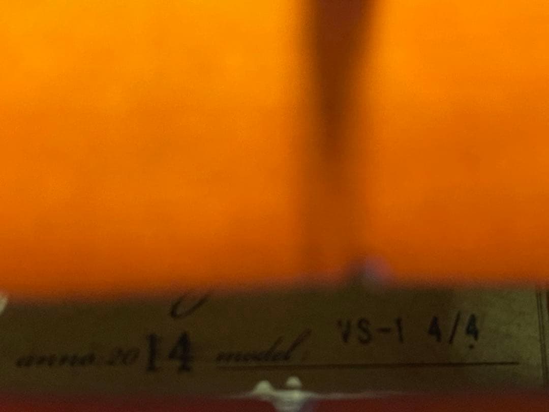 Carlo Giordano バイオリン本体4/4 ケース付き