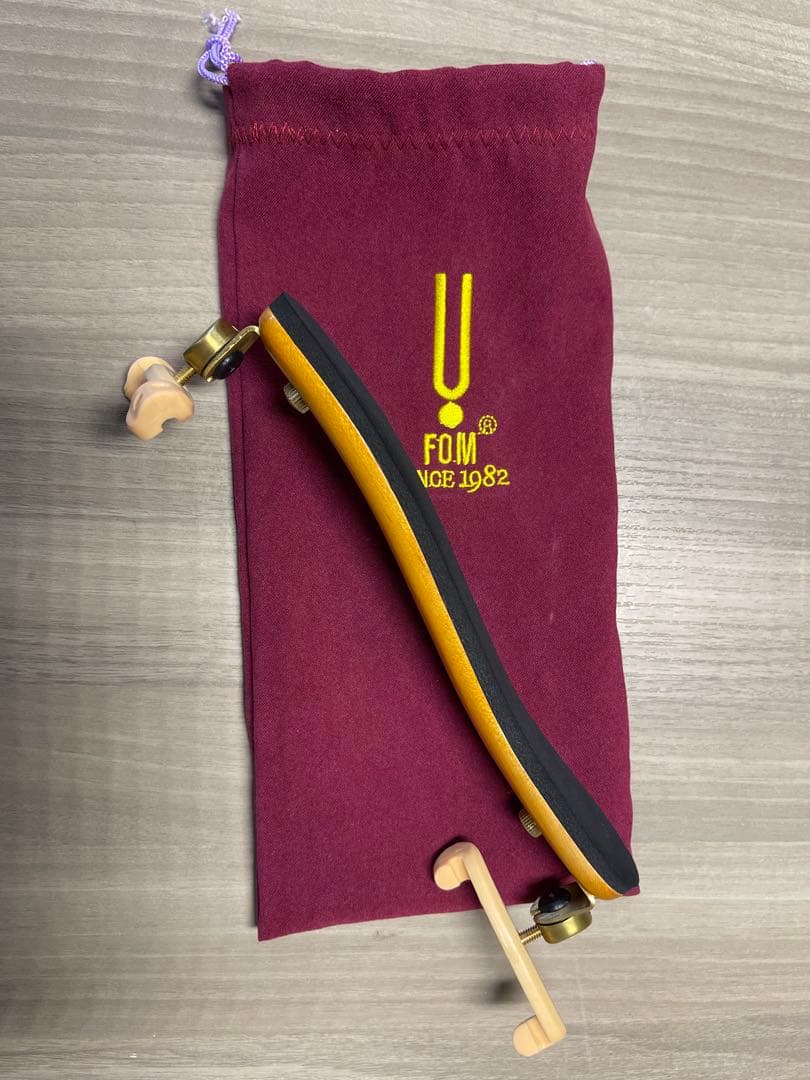 Carlo Giordano バイオリン本体4/4 ケース付き