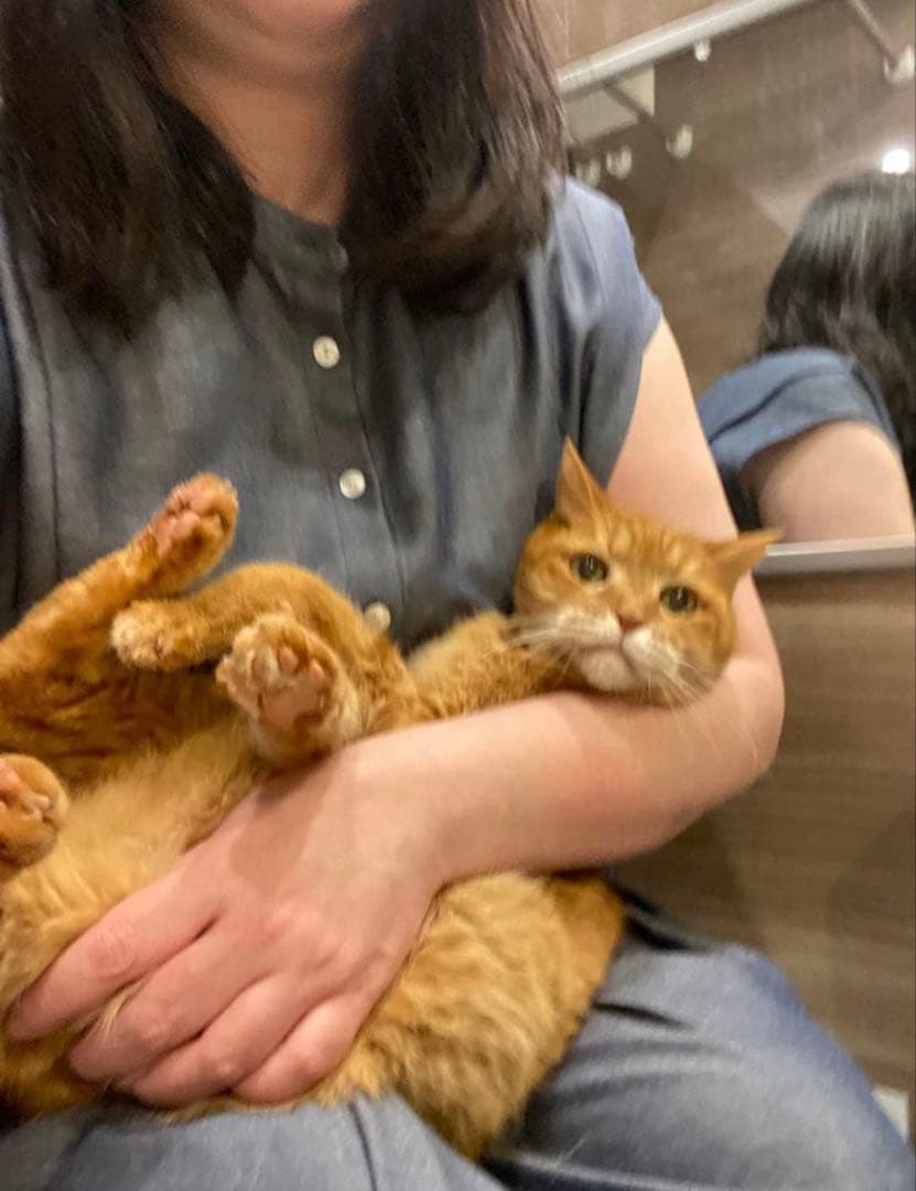 Mr.Meowskiさんのオーダー❤️