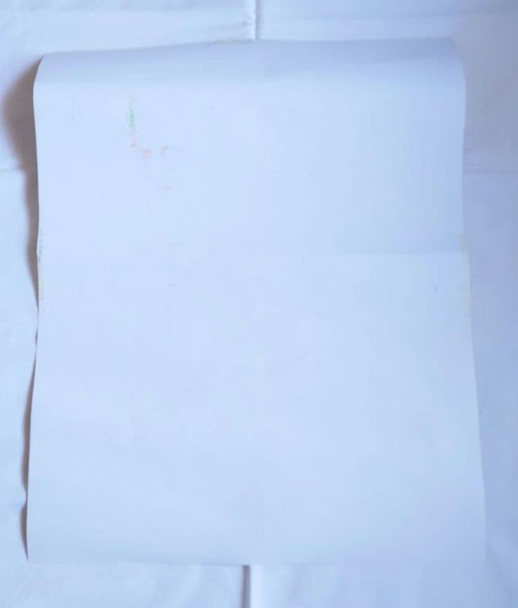 ディズニーリゾート イマジニングザマジック フォト ポスター