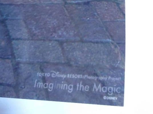 ディズニーリゾート イマジニングザマジック フォト ポスター