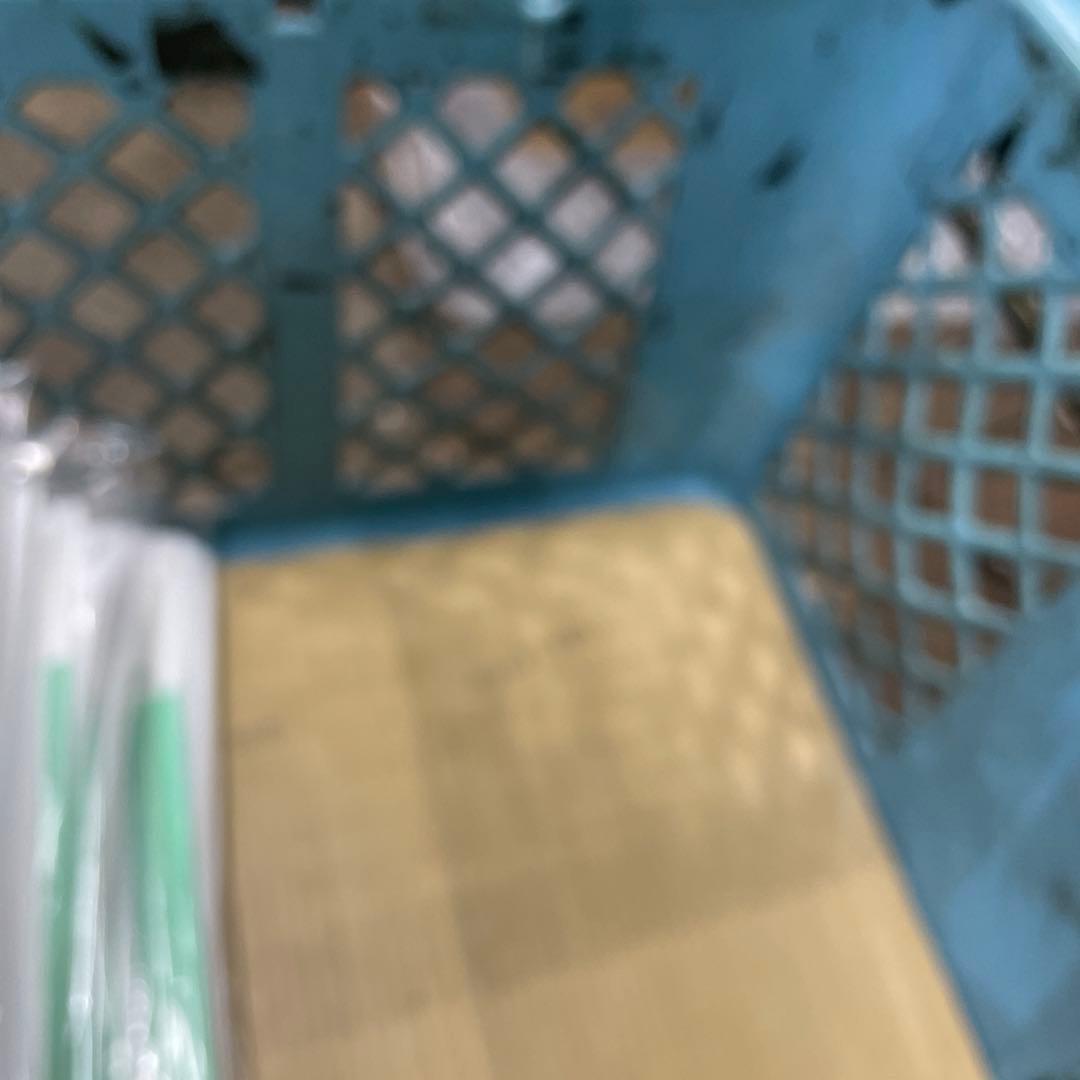 青 プラスチック 昆虫飼育ケース 小型