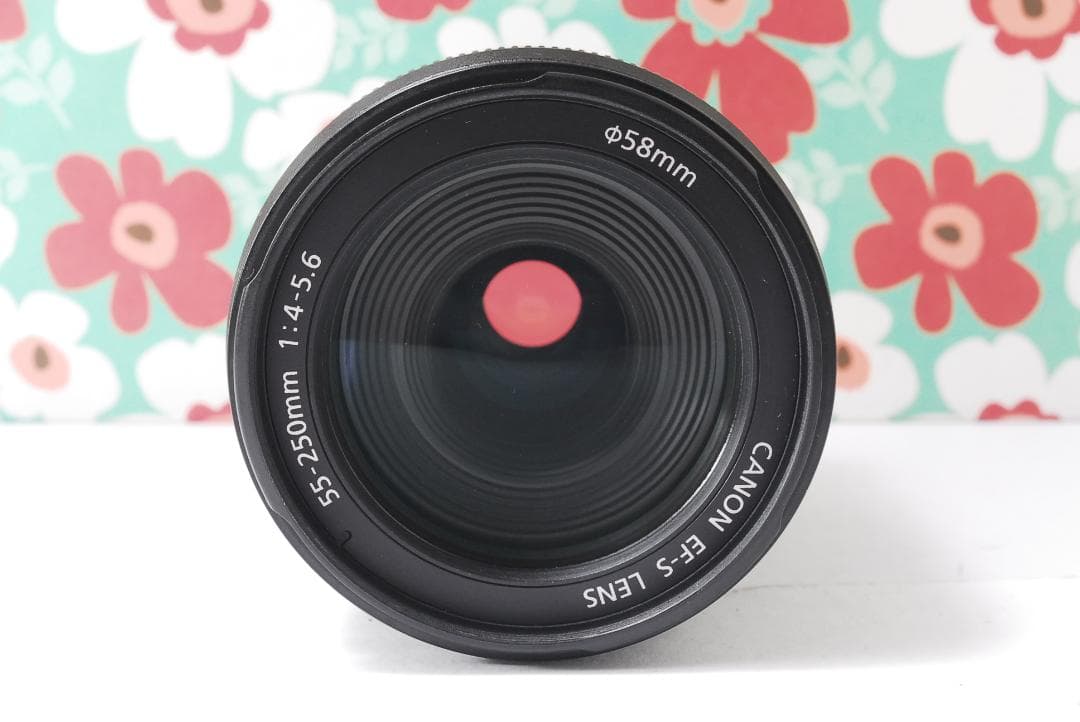 ❤Canon EF-S 55-250mm F4-5.6 IS❤手振れ補正❤望遠❤