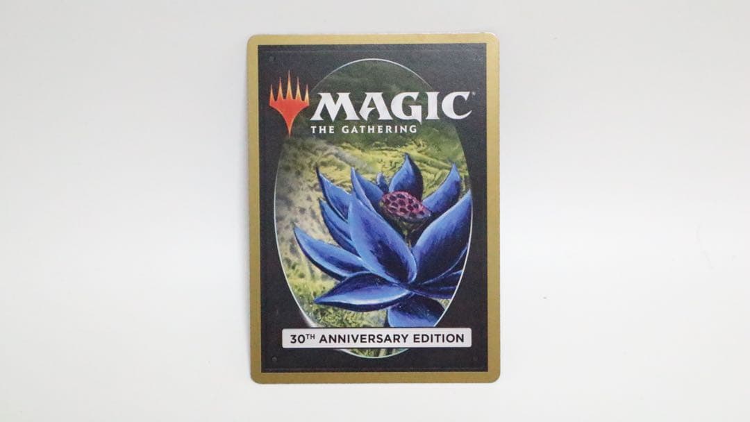 MTG 30th anniversary 蜂の巣　The Hive 旧枠