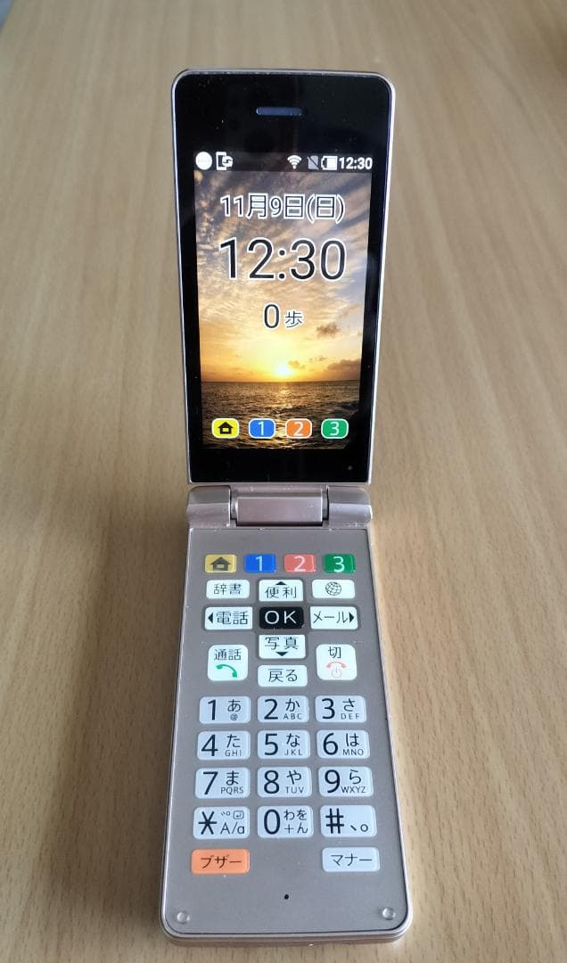 SoftBank かんたん携帯10 本体と付属一式　SIMロック解除済み