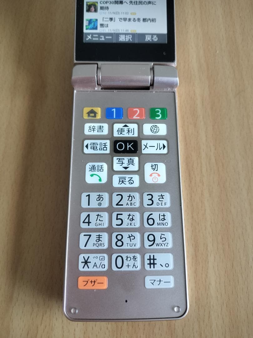 SoftBank かんたん携帯10 本体と付属一式　SIMロック解除済み