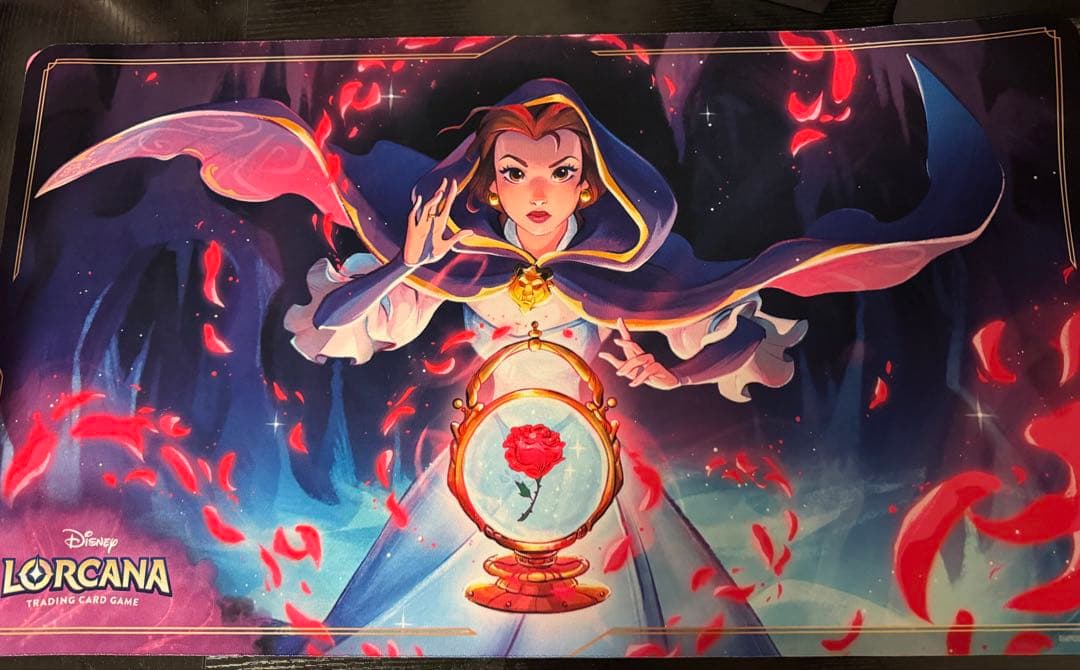 ［値下げ依頼］ロルカナ　ルビアメデッキ　デッキケース　プレマ付き