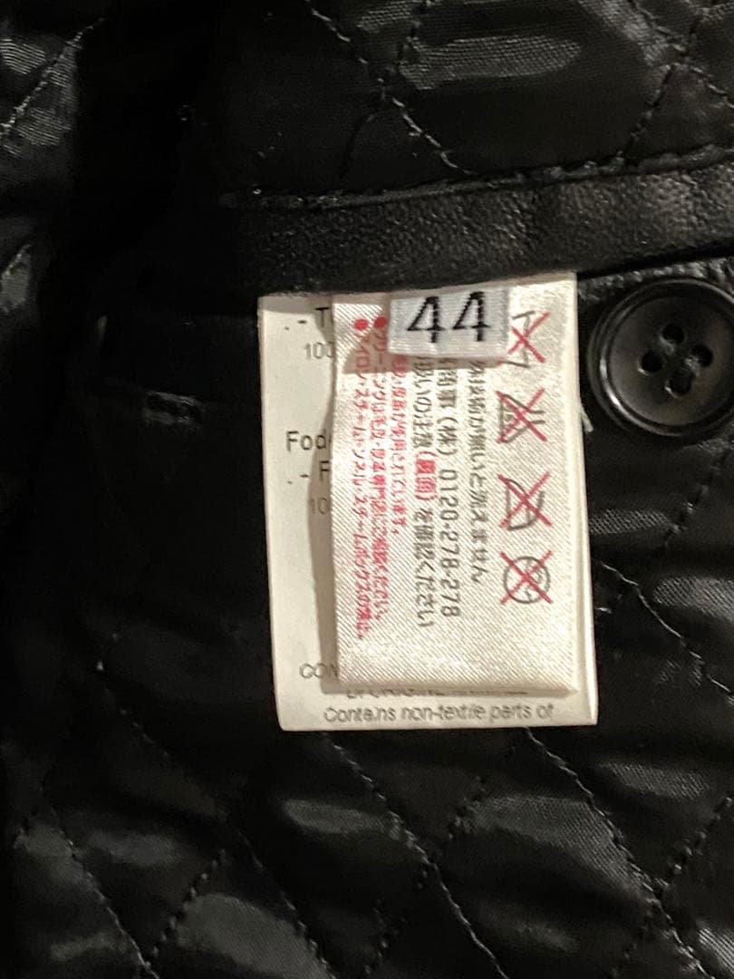 ダニエレアレッサンドリーニ　シングルライダース