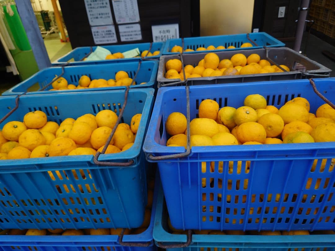 ふれあい農園の柚子果汁　無添加　栽培期間農薬不使用　720ml6本入り