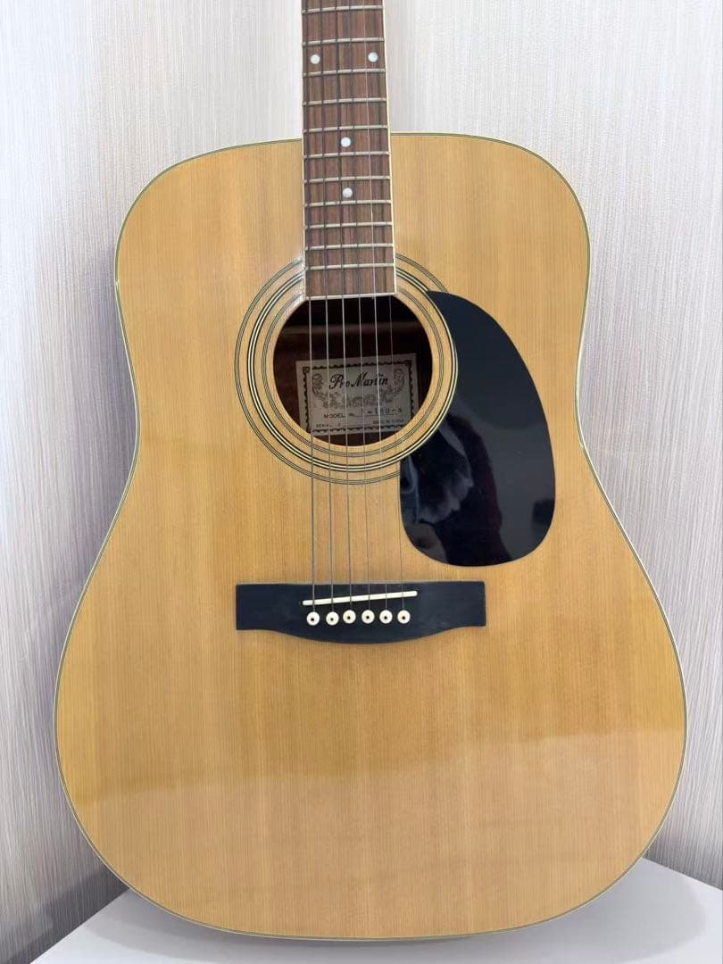 Pro Martin 180-W アコースティックギター
