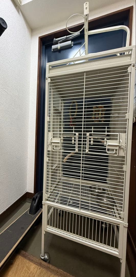 鳥かご大型 [送料込み]