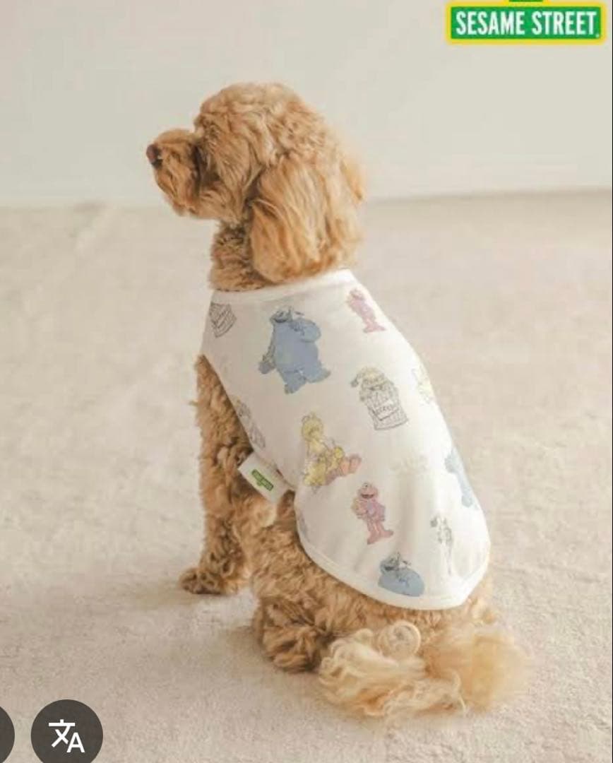 ジェラートピケドッグウェアセット