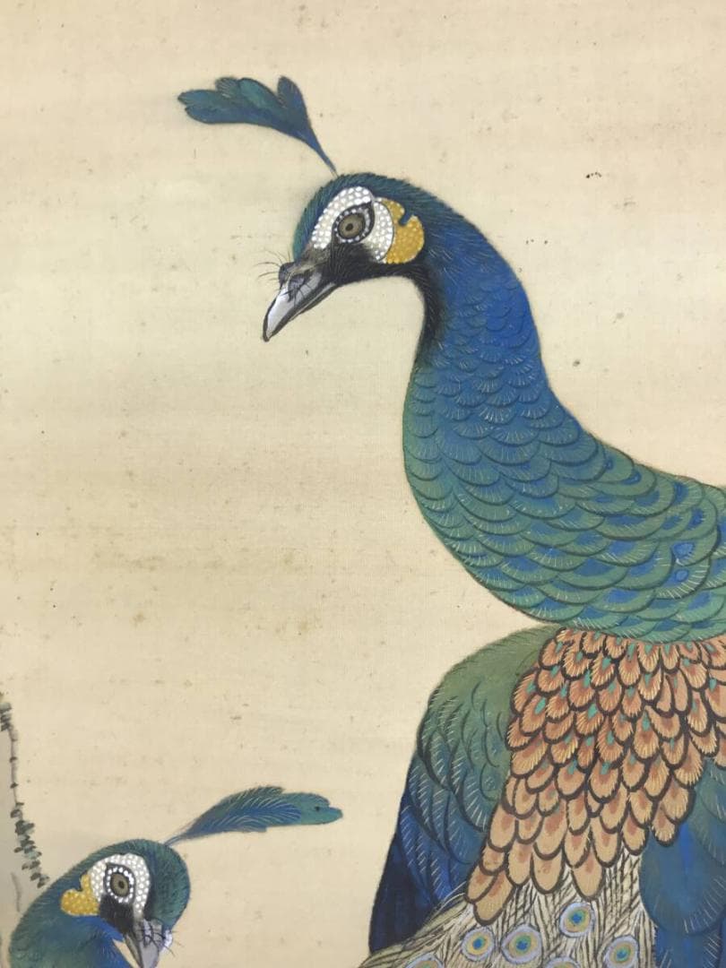 真作/龍洲/孔雀に牡丹図/クジャクにボタン図/花鳥図/掛軸☆宝船☆AH-610