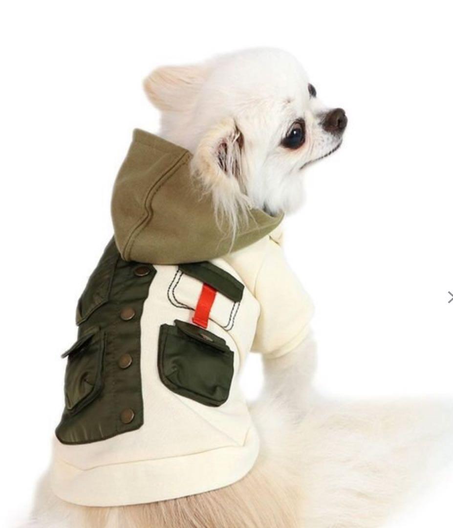 ペットパラダイス　洋服DSS 新品未使用