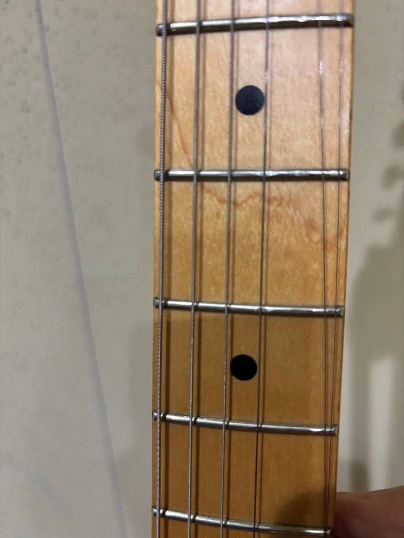 FGNフジゲンテレキャスターシンライン