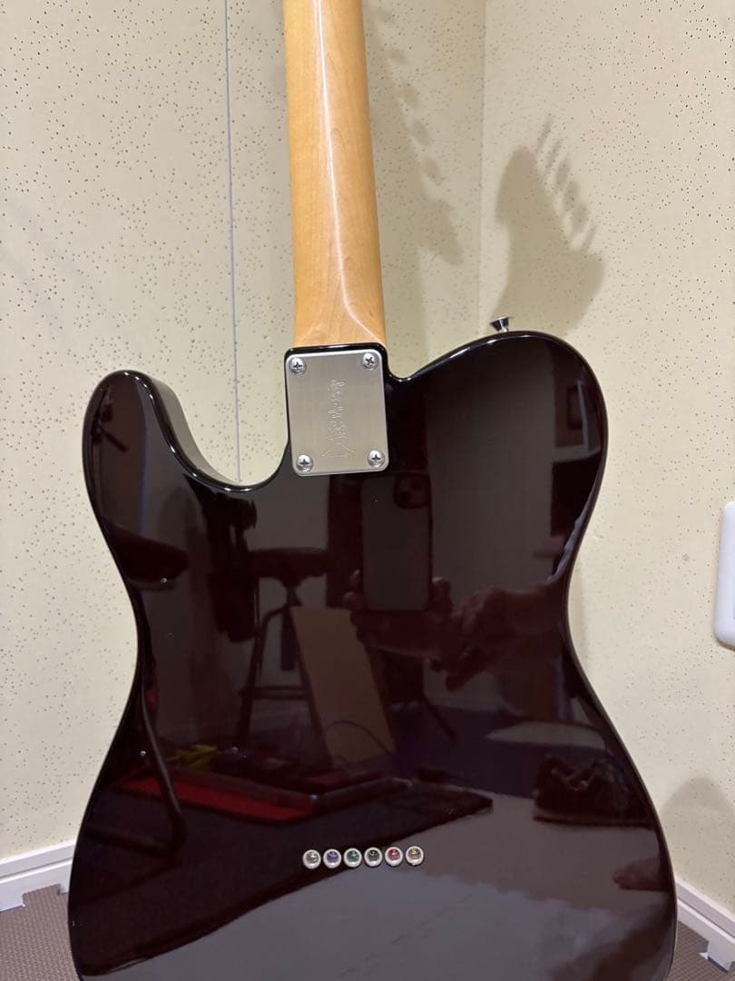 FGNフジゲンテレキャスターシンライン