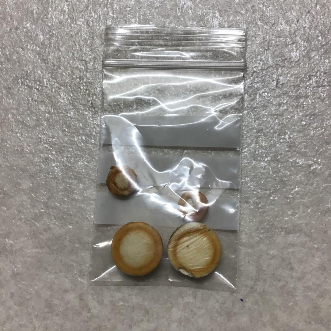 (52) YAMAHA ヤマハ　B♭クラリネット　YCL-33 程度良好