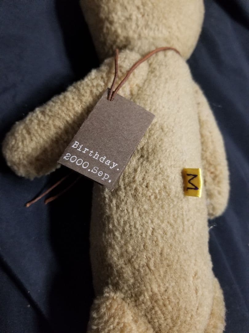 衣笠美保様 m.Teddy Bear テディベア アーティストベア 2000年