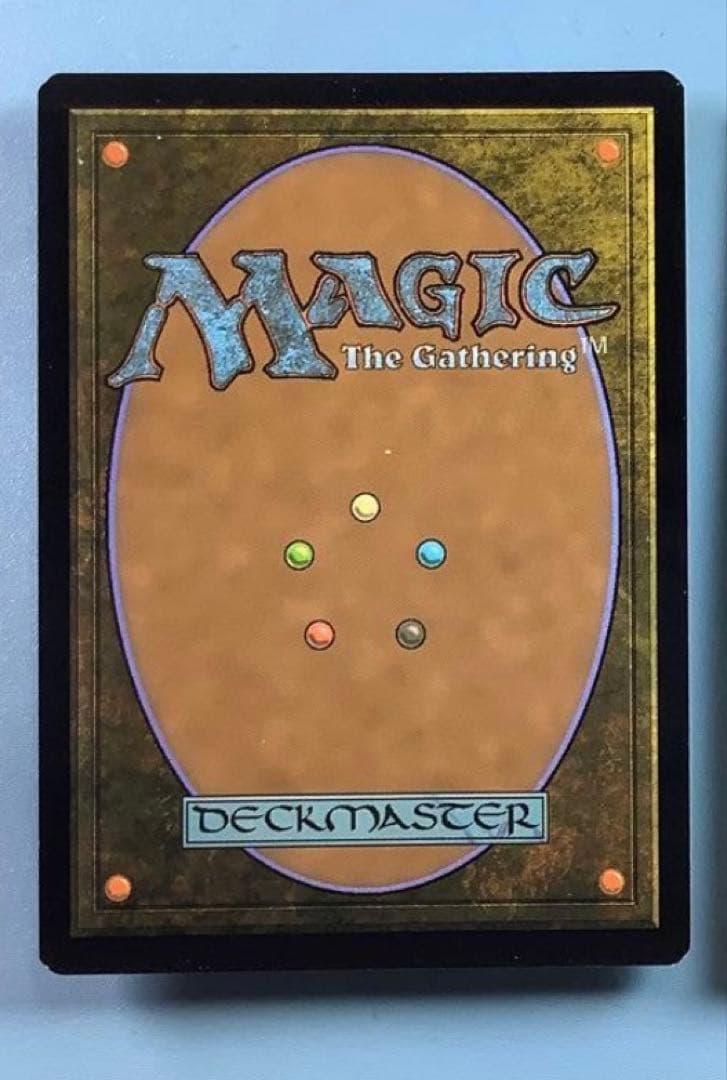 *バラ売り可* 霧深い雨林　 ZNE英語foil2枚セット