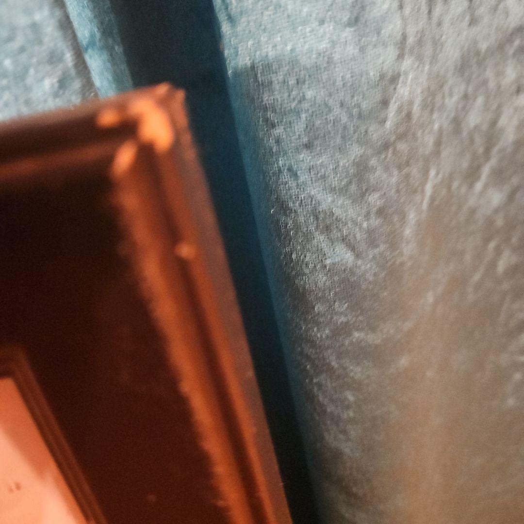 アイルトン・セナ 肖像画 限定印刷 2402/3000