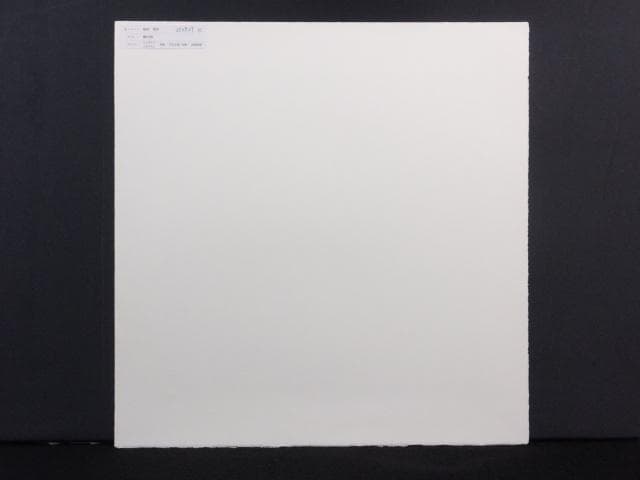 前田常作 直筆サイン『椿の図』リトグラフ＆シルクスクリーン シート 0829K