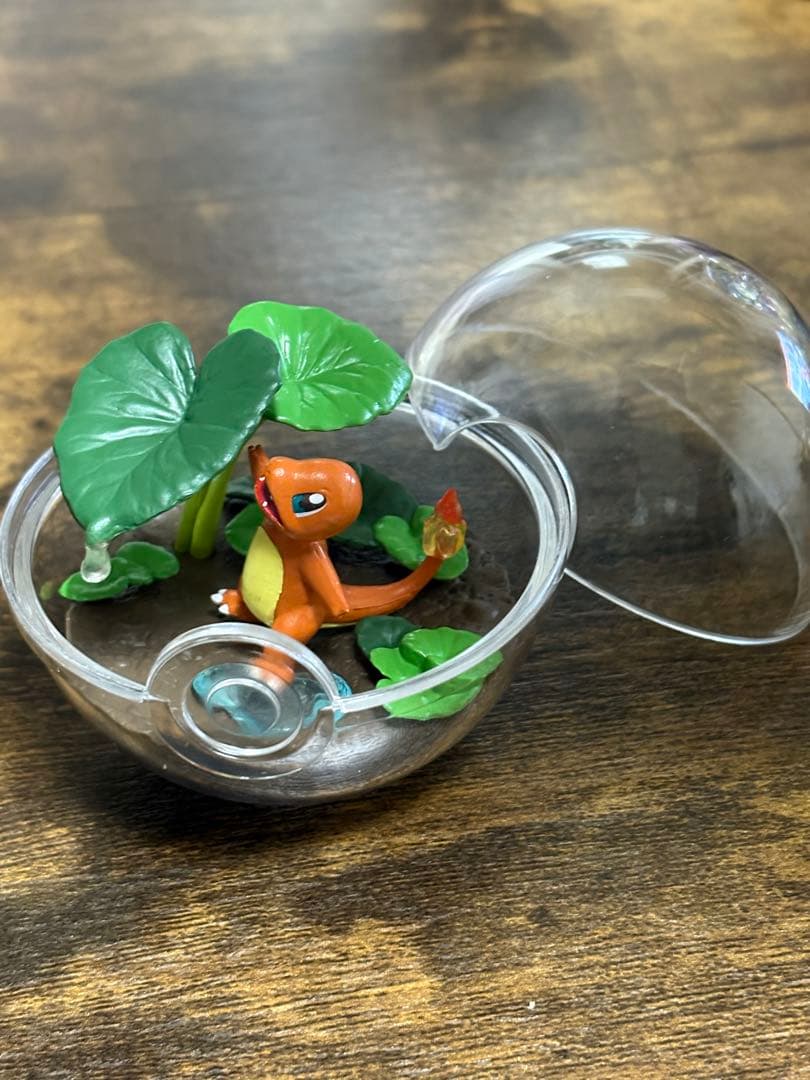 ポケモン テラリウムコレクション ⚠️プロフ必読