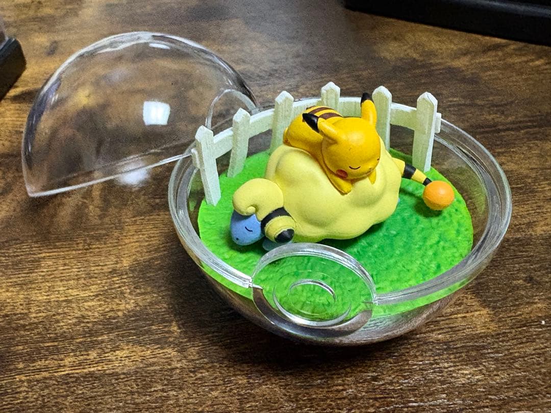 ポケモン テラリウムコレクション ⚠️プロフ必読
