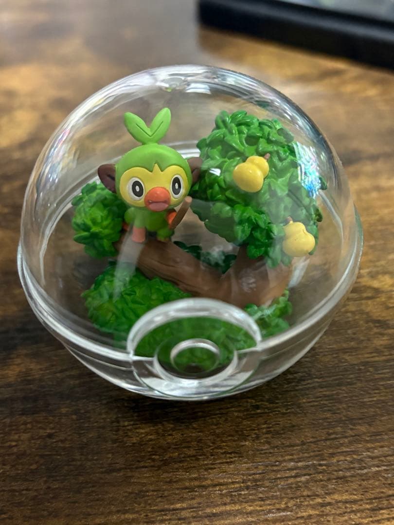 ポケモン テラリウムコレクション ⚠️プロフ必読
