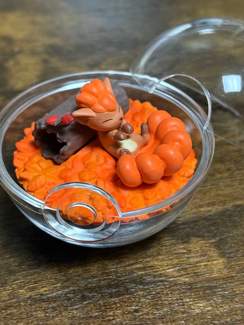 ポケモン テラリウムコレクション ⚠️プロフ必読