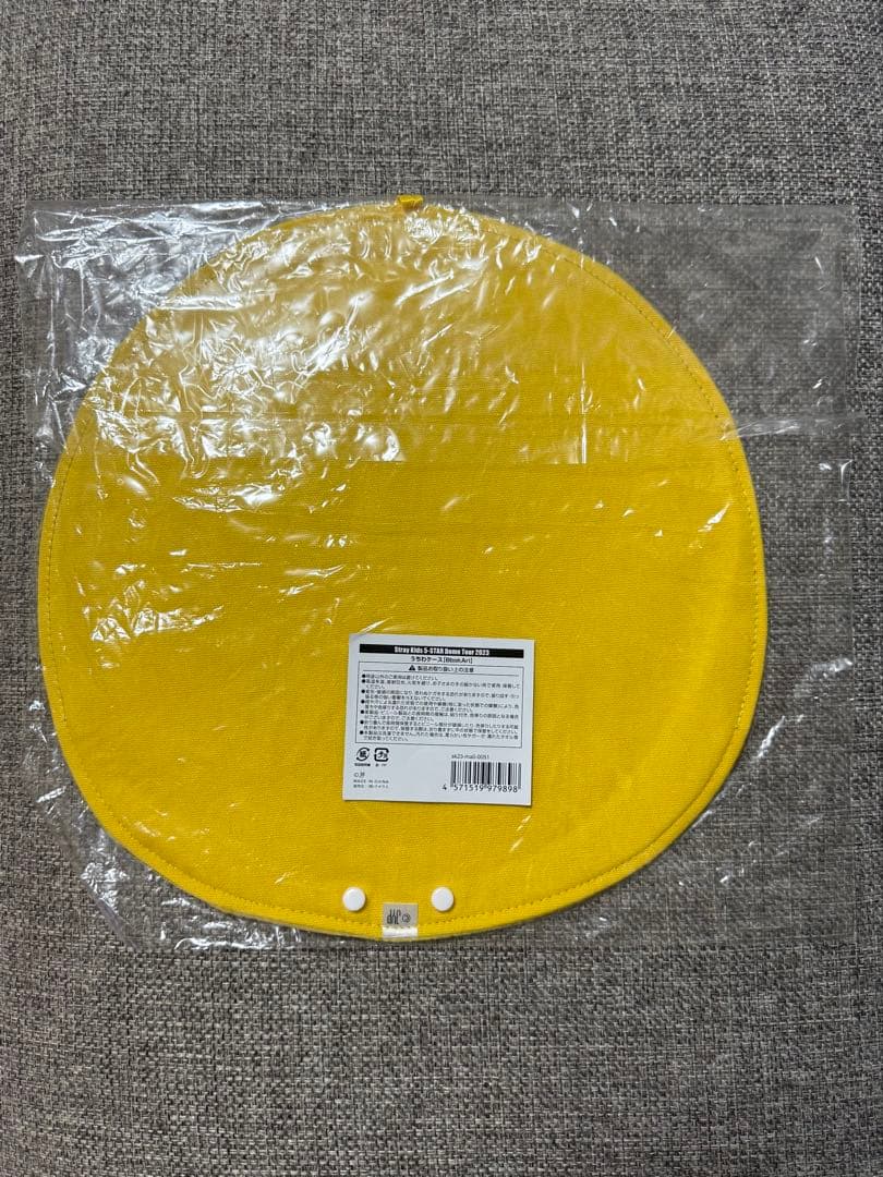 StrayKids スキズ Felix フィリックス ピリ グッズ 13点